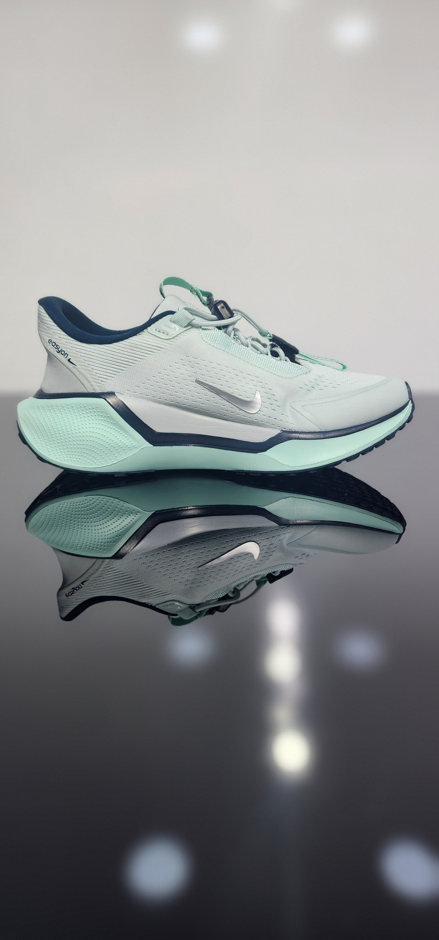 Nike Pegasus EasyOn