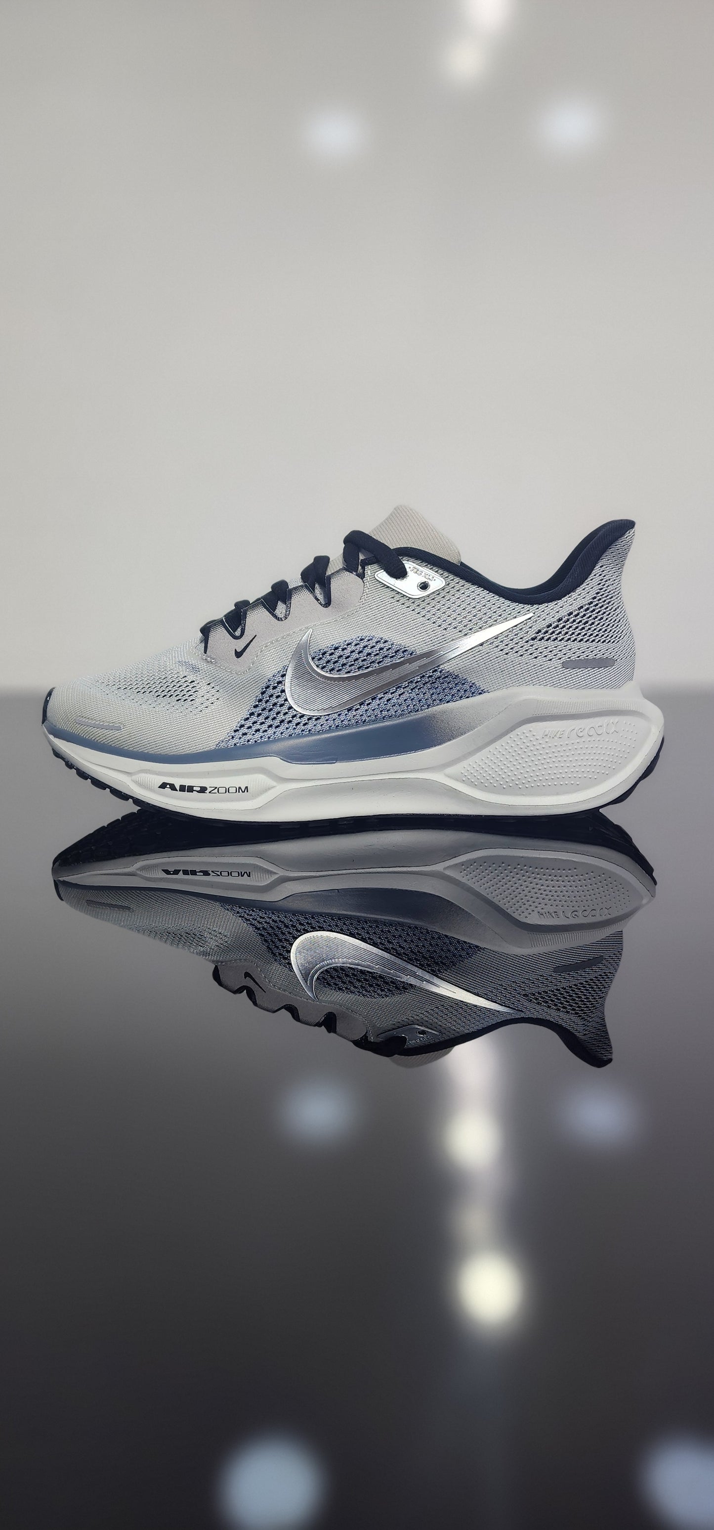 Nike Pegasus EasyOn