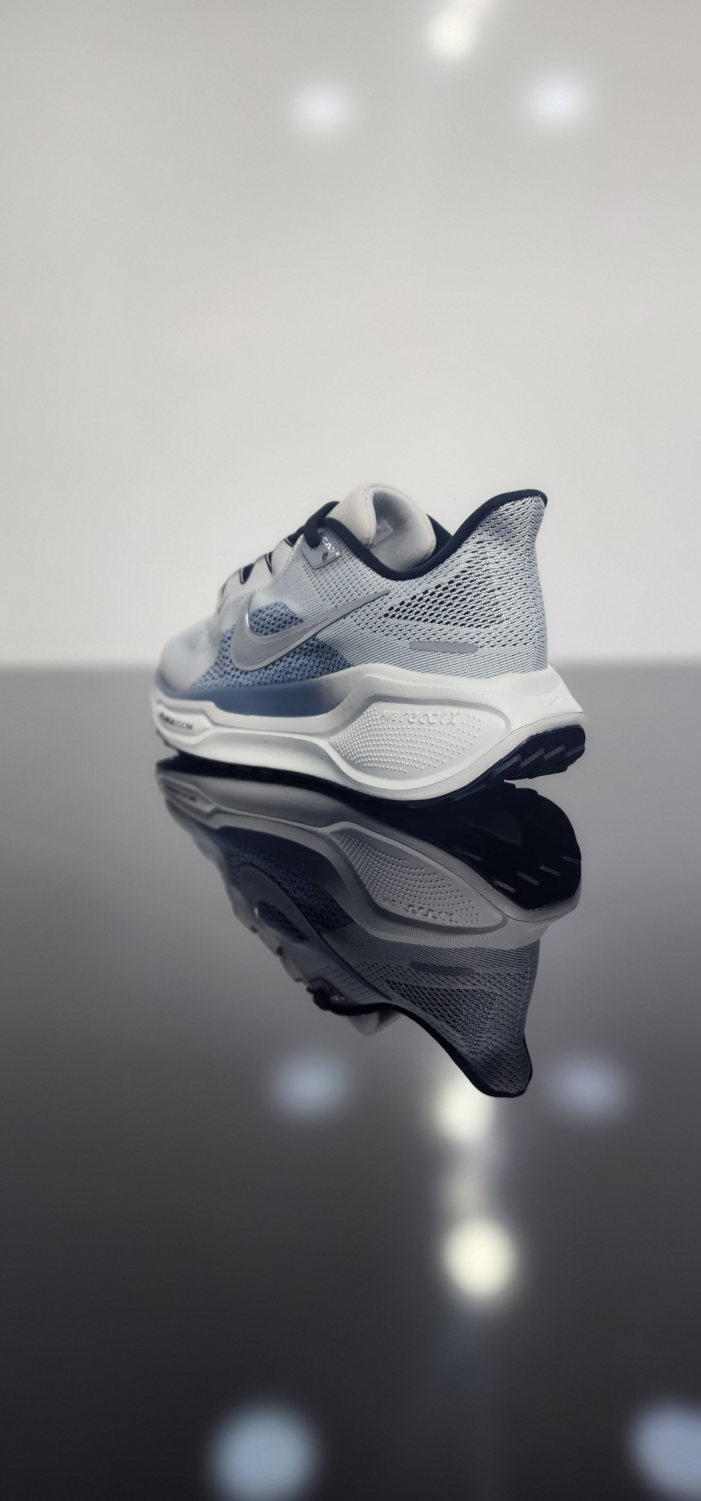 Nike Pegasus EasyOn