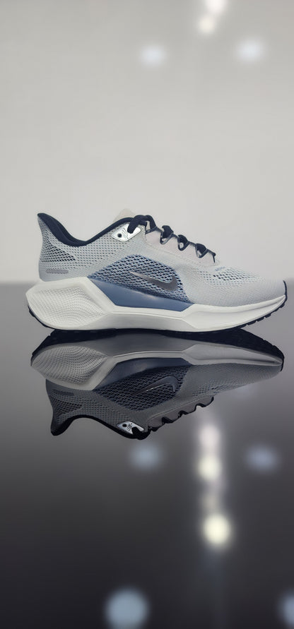 Nike Pegasus EasyOn