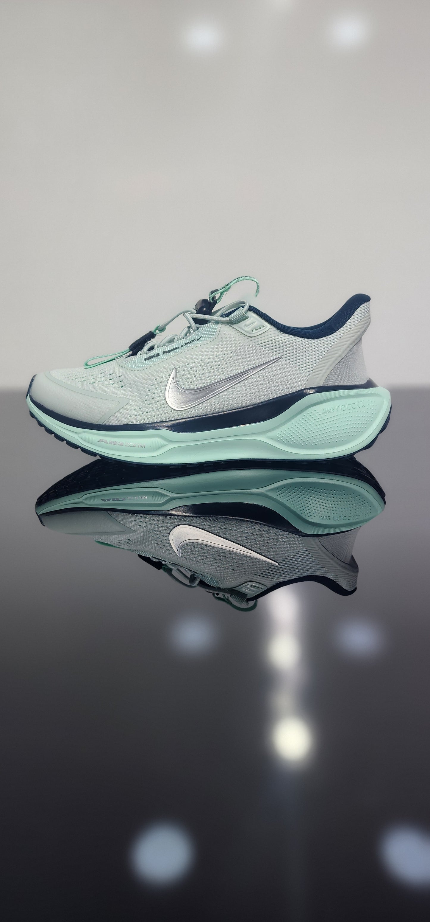 Nike Pegasus EasyOn
