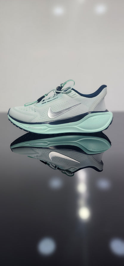 Nike Pegasus EasyOn
