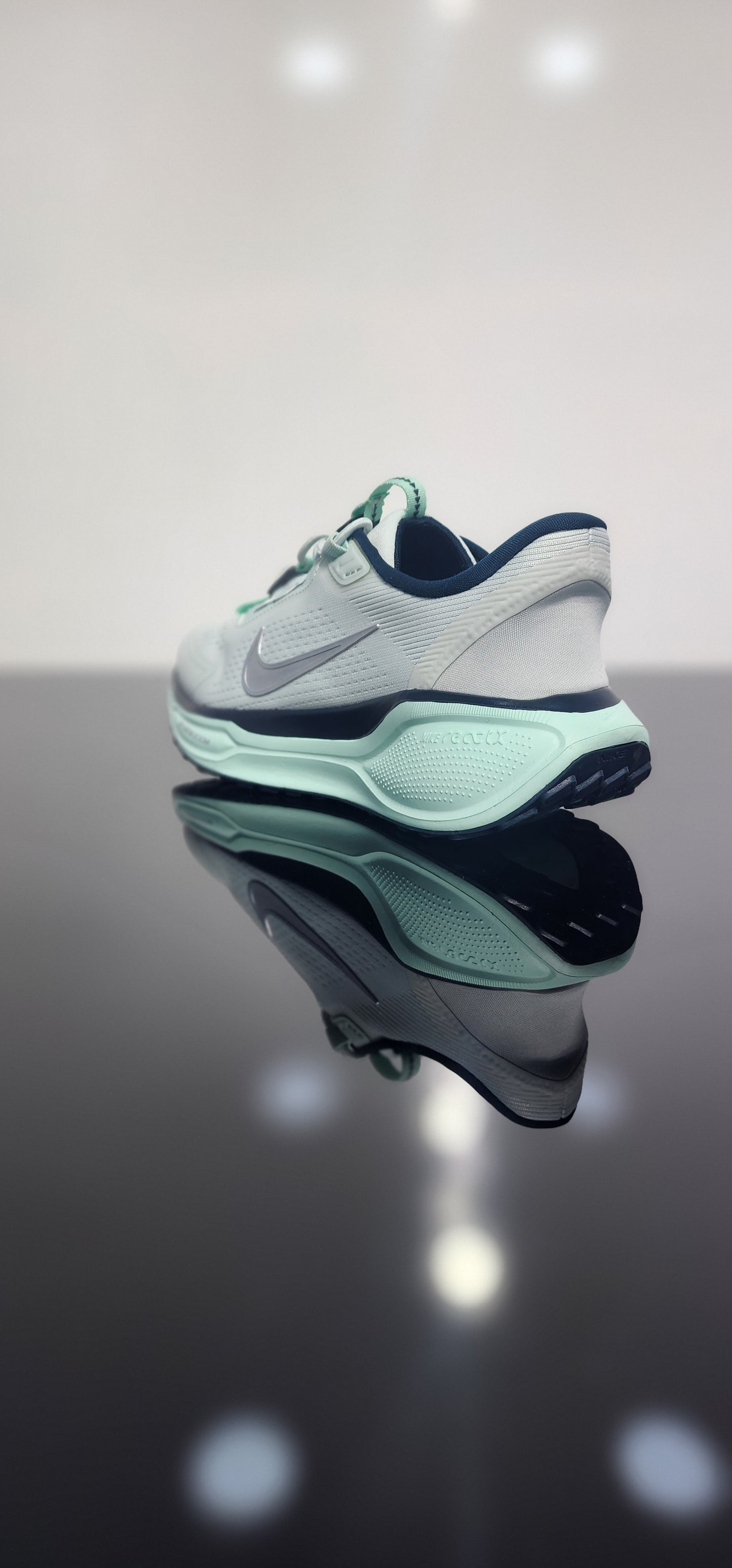 Nike Pegasus EasyOn