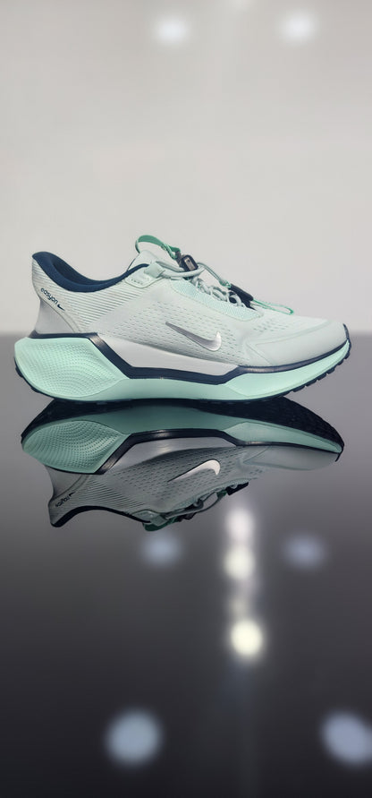 Nike Pegasus EasyOn
