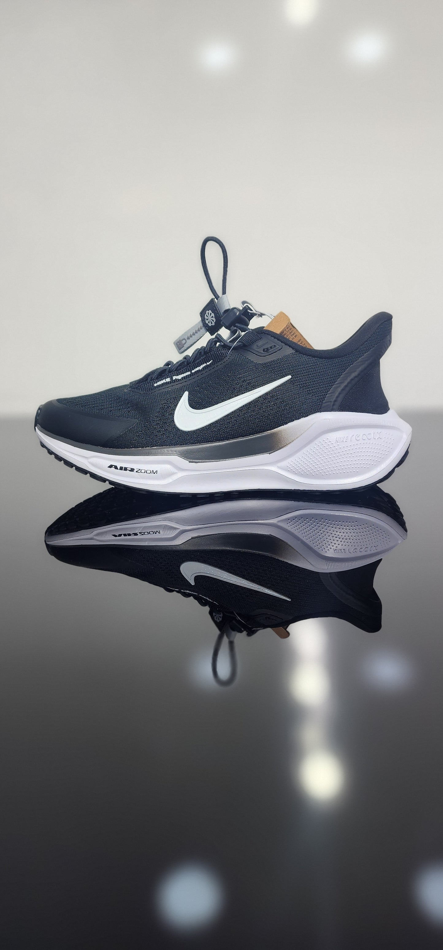 Nike Pegasus EasyOn Black
