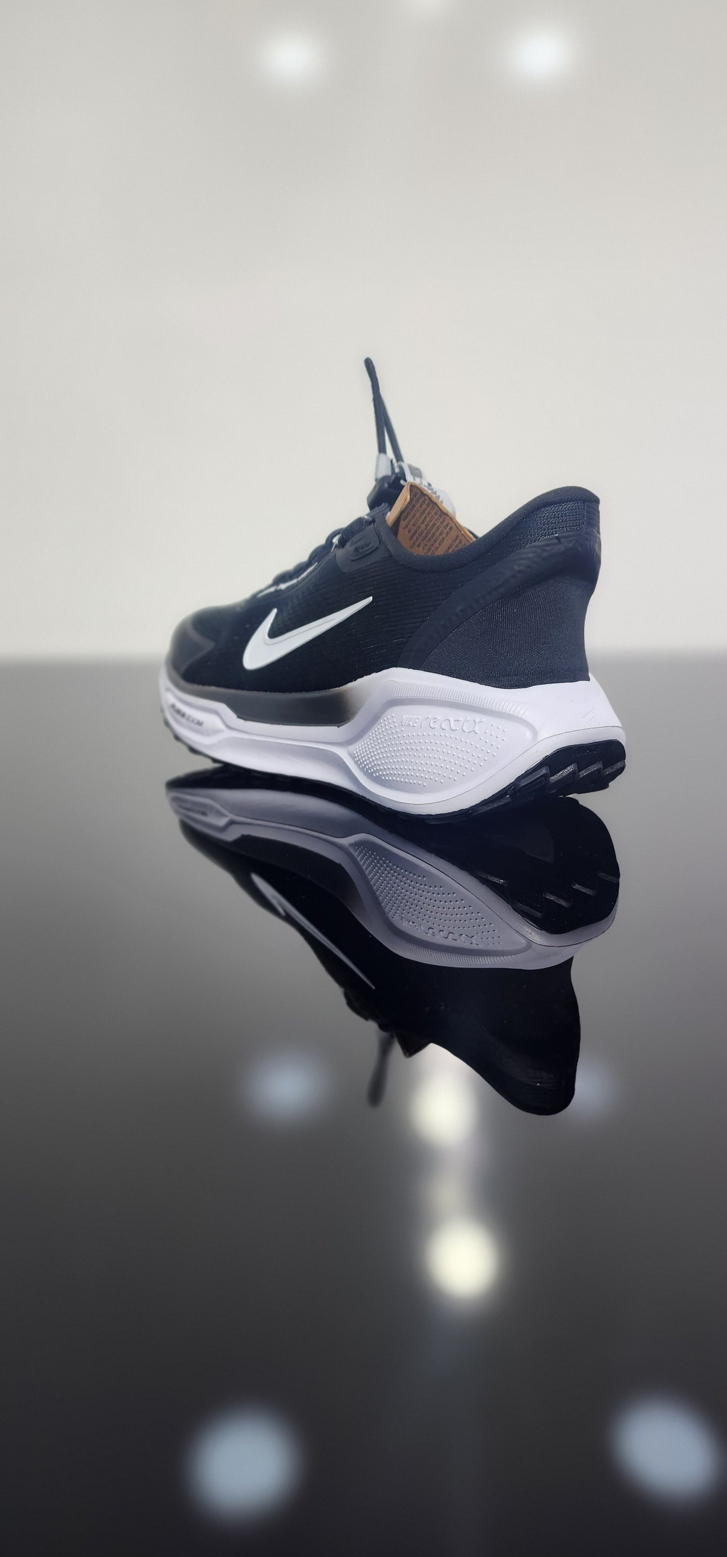 Nike Pegasus EasyOn Black