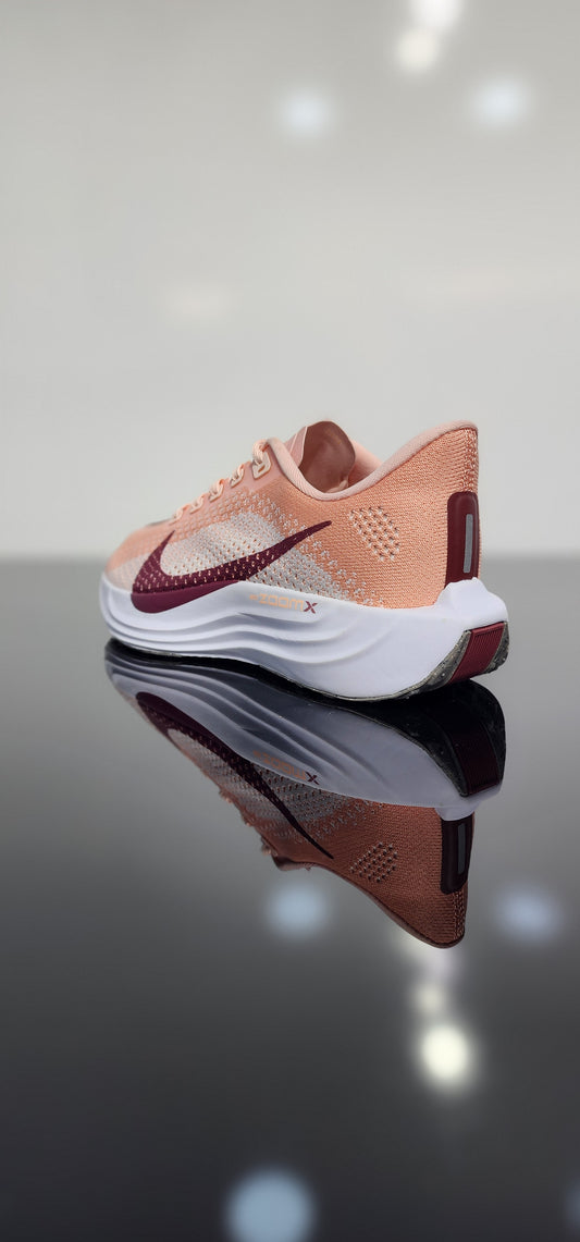 Nike Pegasus EasyOn