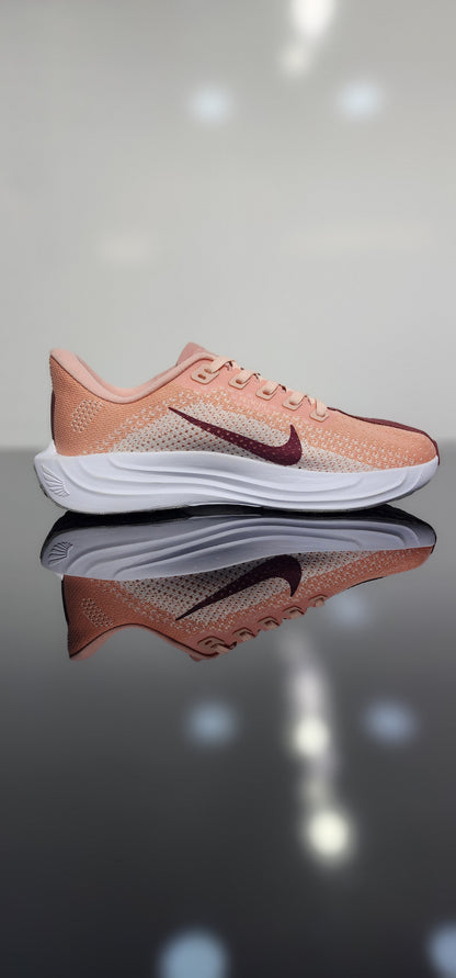 Nike Pegasus Easyon
